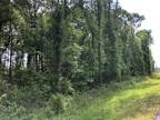 Plot For Sale In Forest, Mississippi
