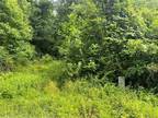 Portland, Meigs County, OH Undeveloped Land for sale Property ID: 417012129