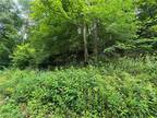 Portland, Meigs County, OH Undeveloped Land for sale Property ID: 417012126