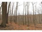 Plot For Sale In New Matamoras, Ohio