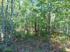 Plot For Sale In Summertown, Tennessee