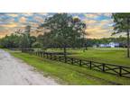 1556 EAGLE VIEW RD, OSTEEN, FL 32764 Single Family Residence For Sale MLS#
