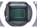 Nikon D300 12.3MP Digital SLR Camera Body #498