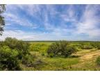 1401 COUNTY ROAD 411, Carbon, TX 76435 Land For Sale MLS# 20418100