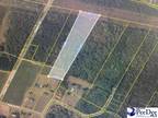 Lane, Williamsburg County, SC Farms and Ranches for sale Property ID: 416953959
