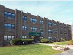 96 W Elm St unit D003 Chicago, IL 60610 - Home For Rent