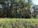 Gainesville, Ozark County, MO Undeveloped Land for sale Property ID: 416888507