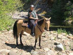 What a Partner. Trail Horse Deluxe !