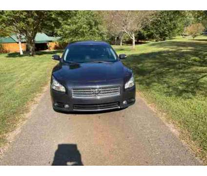 2013 Nissan Maxima for sale is a Grey 2013 Nissan Maxima Car for Sale in Nebo NC