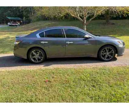 2013 Nissan Maxima for sale is a Grey 2013 Nissan Maxima Car for Sale in Nebo NC