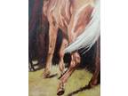 Beautiful Equestrian Painting " Stormy Spirit " Acrylics And Oils.