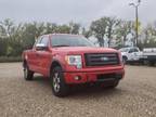 2010 Ford F-150 FX4