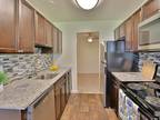 1 Bed 1 Bath $1390 Per Month