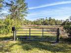 Monticello, Jefferson County, FL Timberland Property, Hunting Property for sale