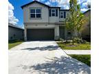 10347 Blue Plume Court, Riverview, FL 33578