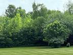 Plot For Sale In Plymouth, Michigan