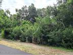 Bald Head Island, Brunswick County, NC Undeveloped Land, Homesites for sale
