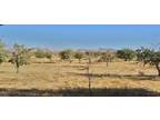Inyokern, Kern County, CA Undeveloped Land for sale Property ID: 417339442