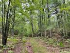 Pembine, Marinette County, WI Undeveloped Land for sale Property ID: 416474736