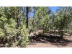 TBD Davis Lane, Pinetop-Lakeside, AZ 85929 603419171