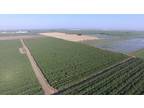 Williams, Colusa County, CA Farms and Ranches for sale Property ID: 416770717