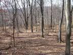 Blairstown, Warren County, NJ Undeveloped Land for sale Property ID: 416032091