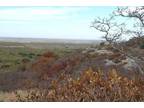 Brady, Mc Culloch County, TX Recreational Property, Hunting Property for sale