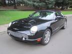 2003 Ford Thunderbird Deluxe Convertible - One owner, 44,000 miles