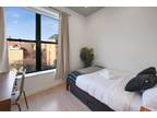 1 Bedroom In Brooklyn Brooklyn 11206-6809 - Opportunity!