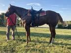 2020 AQHA Sorrel Gelding: Chrome O Zone