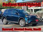Used 2017 Toyota RAV4 Hybrid for sale.