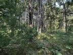 Plot For Sale In Necedah, Wisconsin