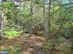 Plot For Sale In Gold Shores 2nd Addition International Falls, Minnesota