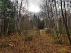 Crandon, Forest County, WI Undeveloped Land for sale Property ID: 416952366