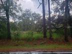 Plot For Sale In Polk City, Florida