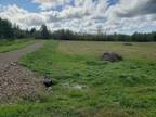 2019-1 Highway 359, Halls Harbour, NS, B0P 1J0 - vacant land for sale Listing ID