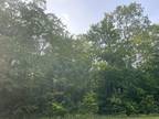 Plot For Rent In Frederic, Michigan