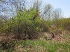 Plot For Sale In Atwater, Ohio