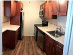 10 E Ontario St unit 1811 Chicago, IL 60611 - Home For Rent