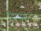Weeki Wachee, Hernando County, FL Farms and Ranches, Homesites for sale Property