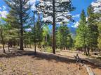30328 National Forest Drive, Buena Vista, CO 81211