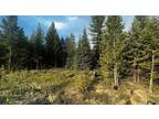 Plot For Sale In Libby, Montana