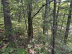 Plot For Rent In gailord, Michigan