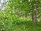 Plot For Sale In Lake George, Minnesota