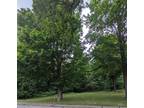 Plot For Sale In Saint Charles, Michigan