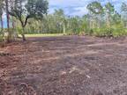 Lehigh Acres, Lee County, FL Commercial Property, Homesites for sale Property