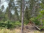 Plot For Sale In Newberry, Michigan