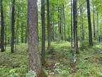 Plot For Sale In Eagle River, Wisconsin