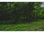 Lot 8 Woolwine Highway, Woolwine, VA 24185