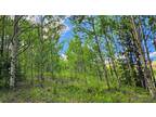 Cripple Creek, Teller County, CO Recreational Property, Hunting Property